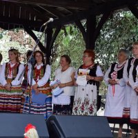 Zobacz w powiększeniu: Dożynki Powiatowe Baranów 2021 (65)